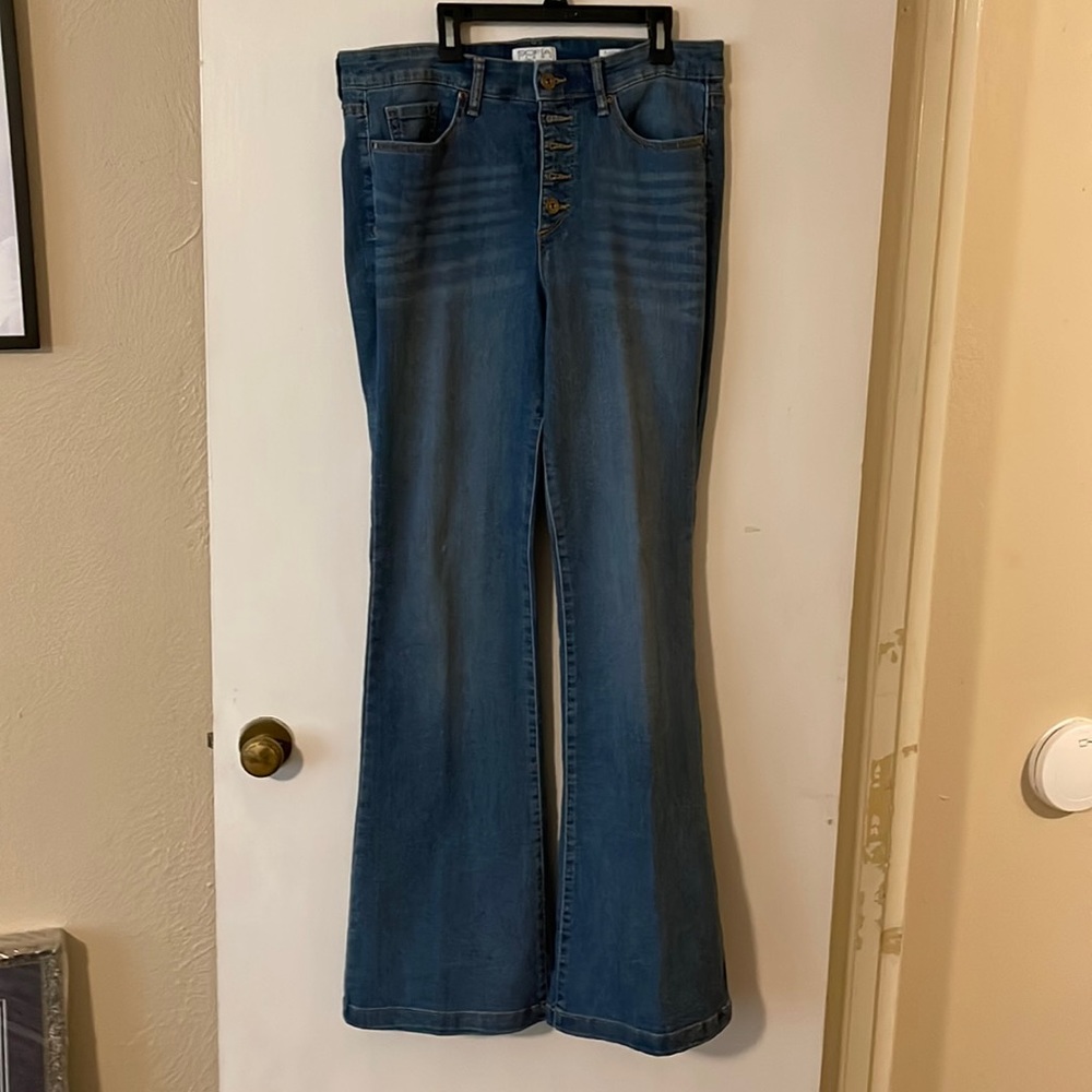 NWOT Sophia Vegara Melisa flare jeans